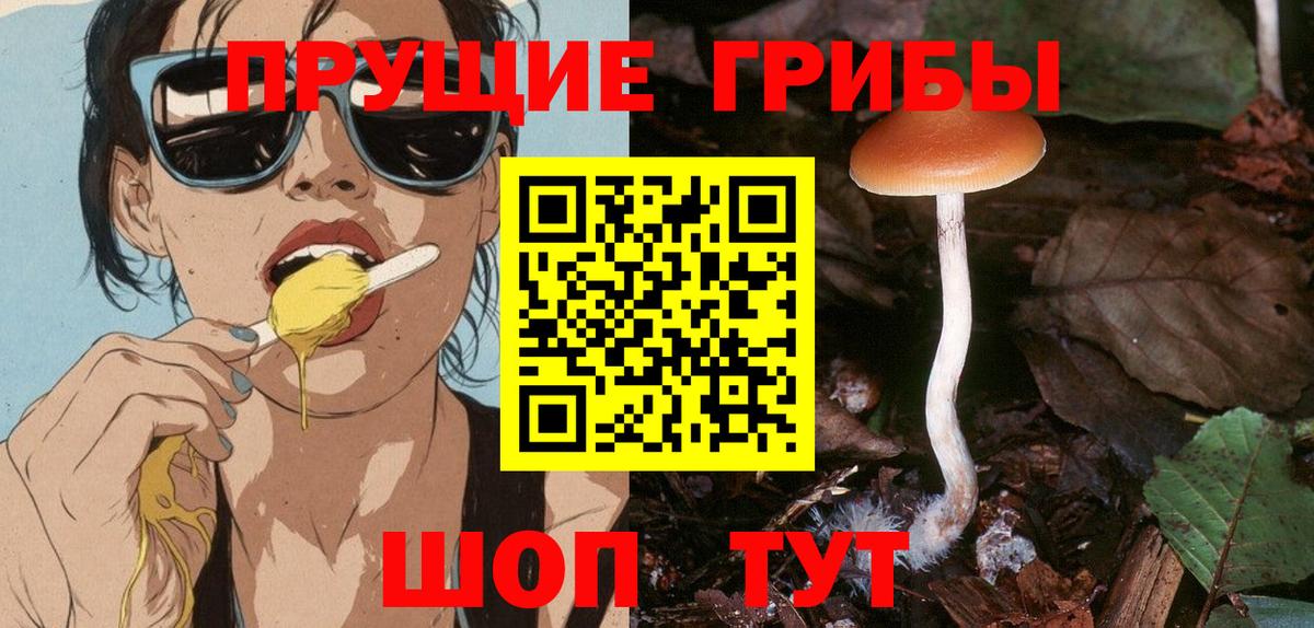 Галлюциногенные грибы Magic Shrooms  Вход с VPN  Киров 